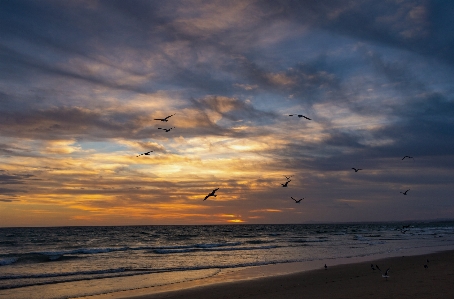 Sunset ocean sky sea Photo