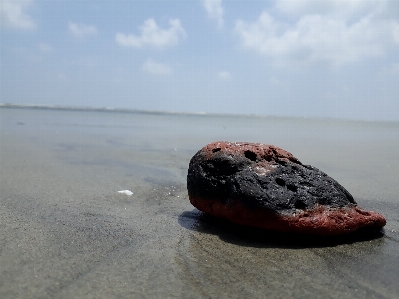 自然 海 rock 海岸 写真