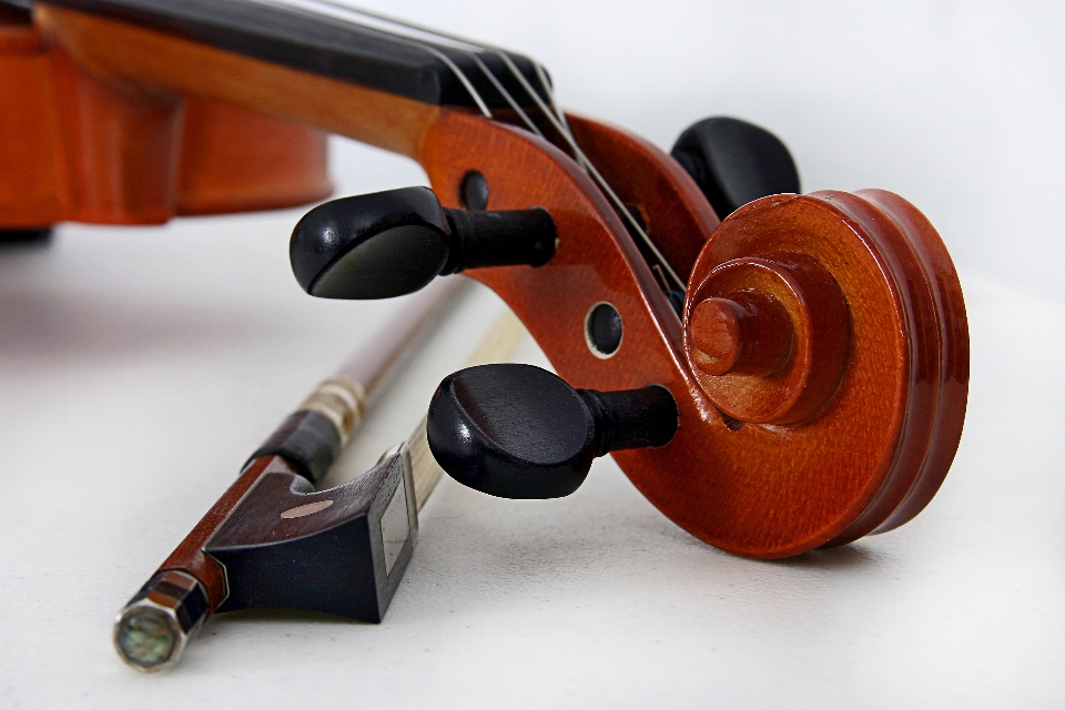 Chitarra famiglia di violini
 violino strumento musicale