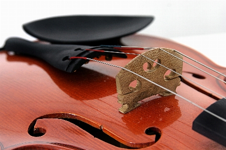 Foto Chitarra strumento musicale violino famiglia di violini
