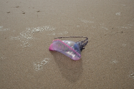 Photo Mar
 mer océan plage