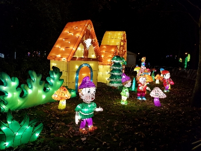 Foto Notte luci di natale
 decorazione natalizia
 illuminazione