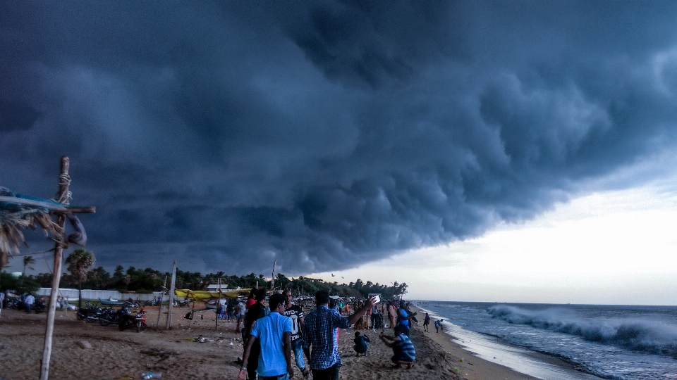 Alam pantai rock kayu