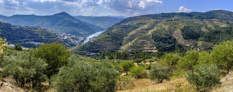 Panorama portugal douro
 bergige landschaftsformen
 Foto