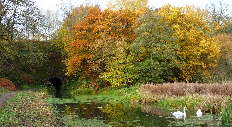 Cromford
 kanal
 derbyshire
 herbst