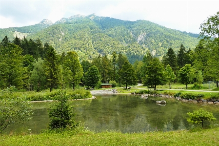 Foto Natura ecosistema
 selvaggia
 riserva naturale
