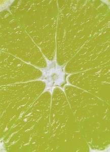 Acid background citric citrus Photo