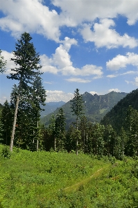 Mountain landscape panorama alps Photo