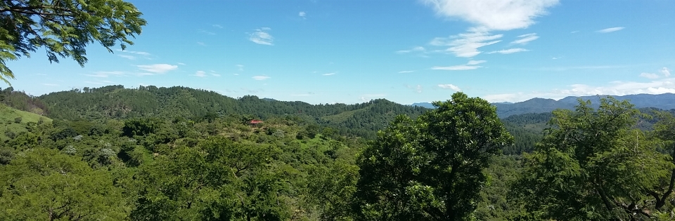 Landscapes vegetation ecosystem nature reserve