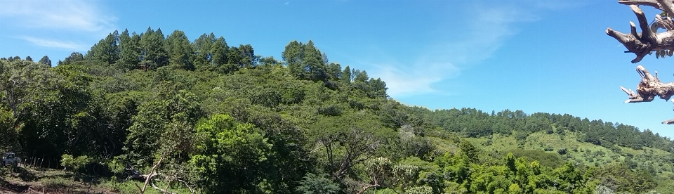 Landscapes vegetation ecosystem nature reserve