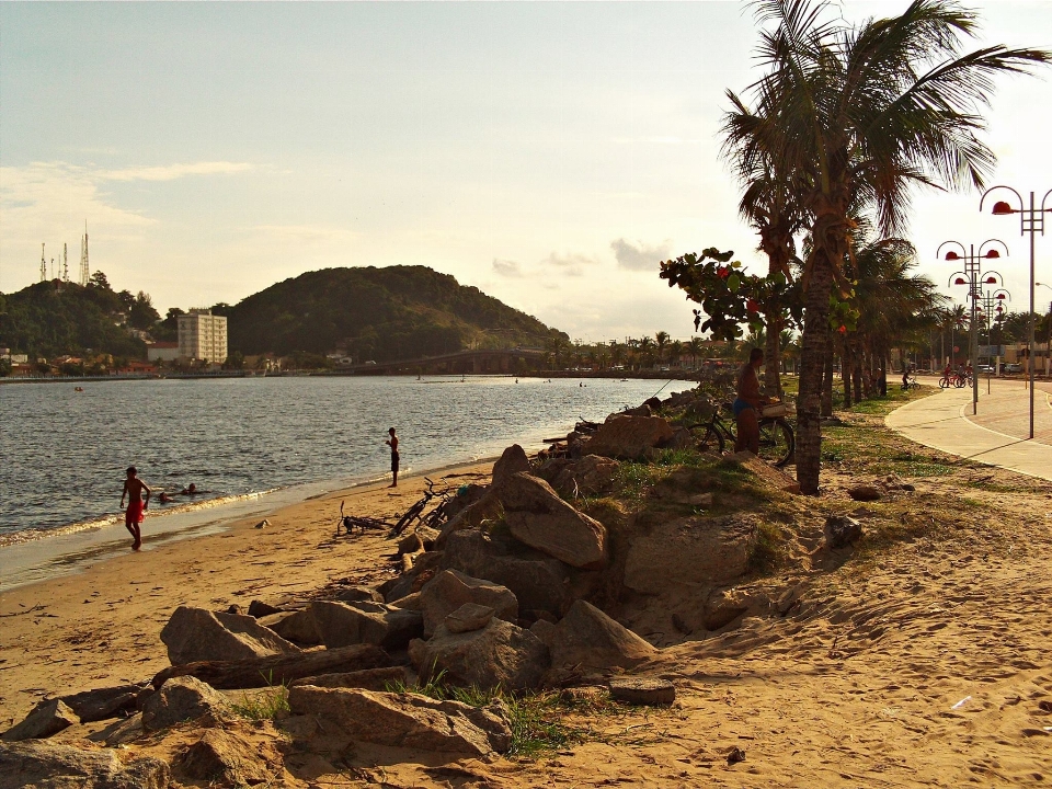 Sol praia mar corpo de água
