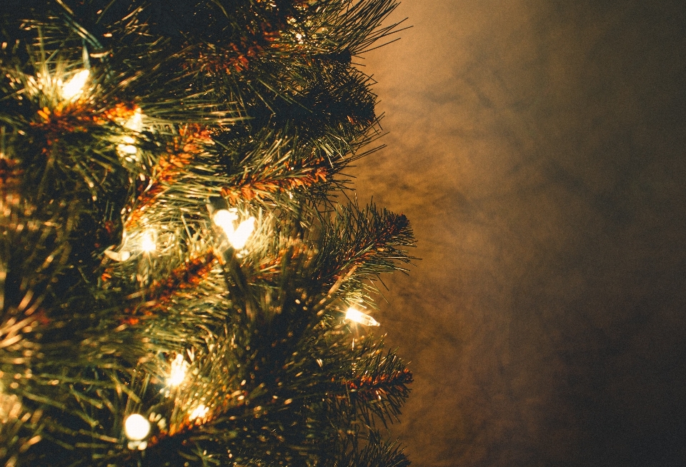 Baum weihnachtsbaum himmel tanne