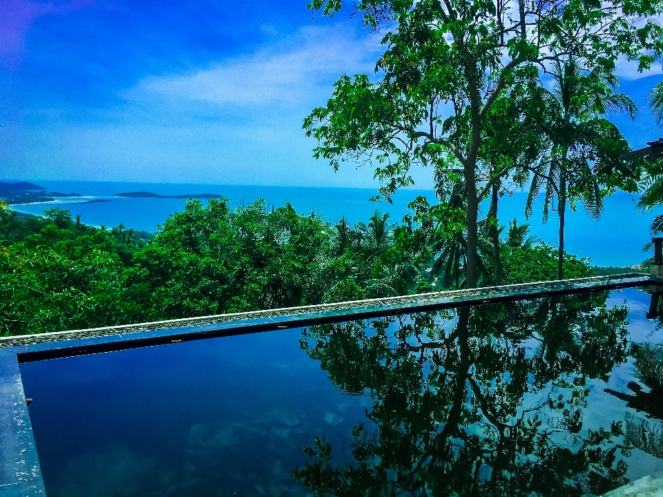 Kolam pohon langit air