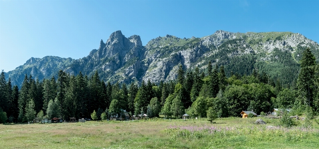 Berg rock wald himmel Foto