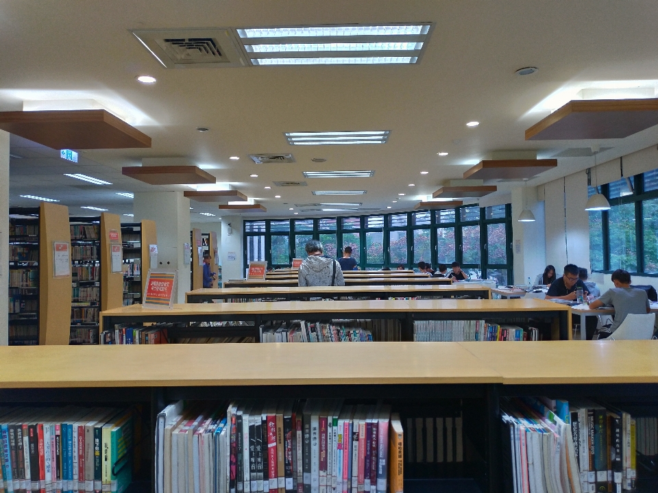 Biblioteca espacio habitación pública
