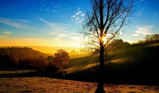 Love sky nature tree Photo