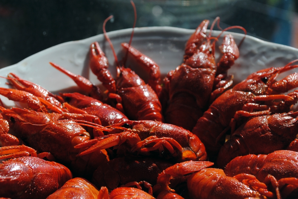 Crayfish wooden seafood cajun food