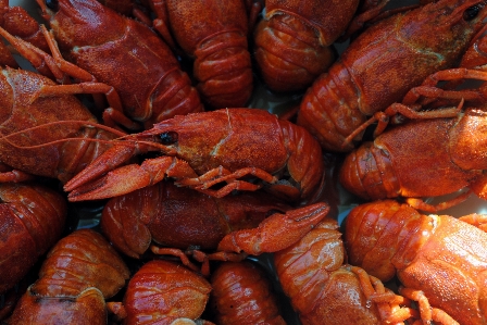 Crayfish wooden seafood cajun food Photo