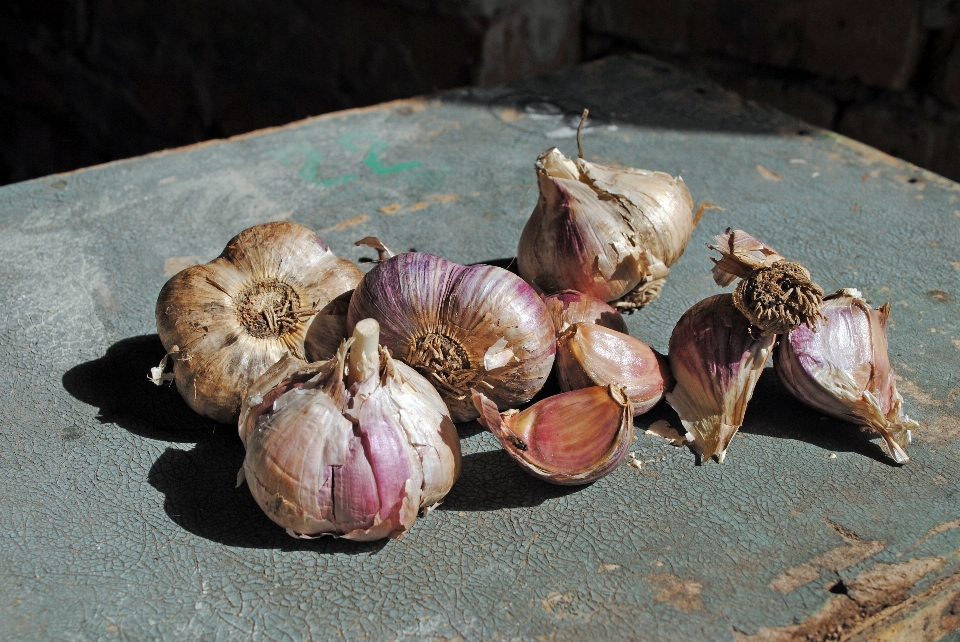 自然 野菜 ニンニク 象ニンニク
