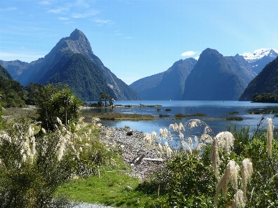 New zealand nature wilderness mountain Photo