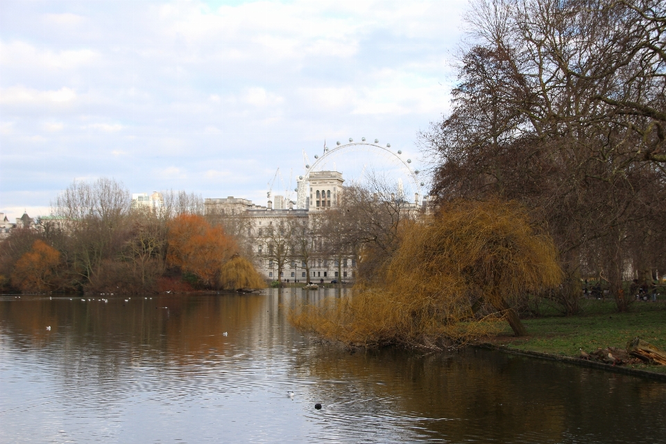 Trees water waterway london