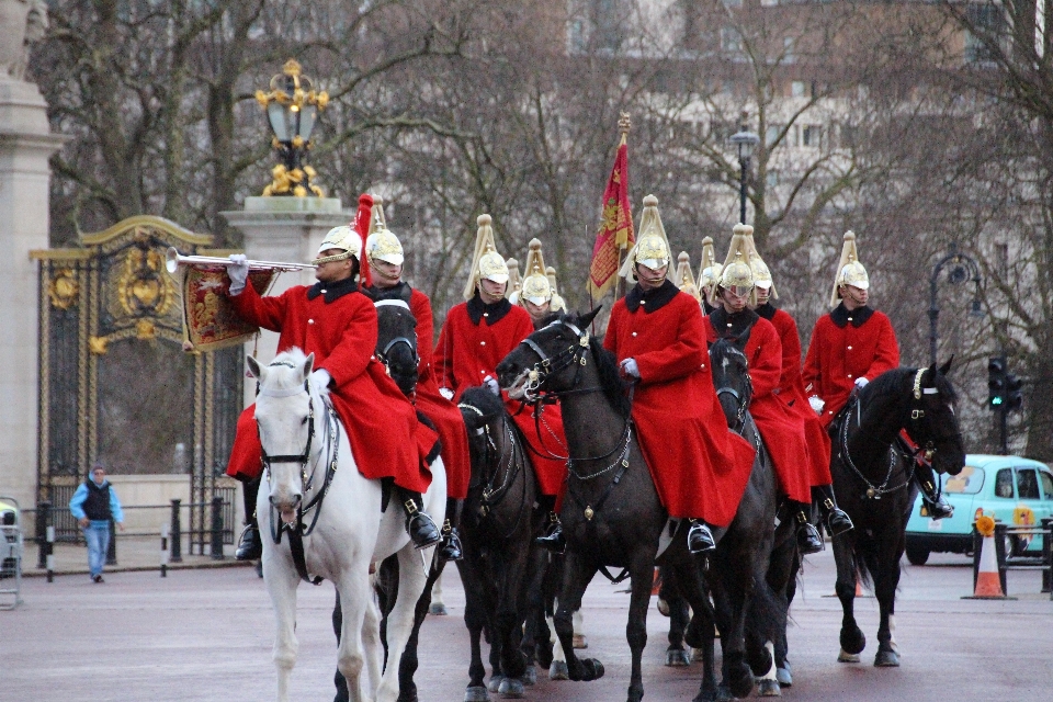 Buckingham
 palacio el de caballos