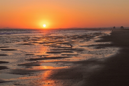 Photo Le portugal océan atlantique
 horizon soleil