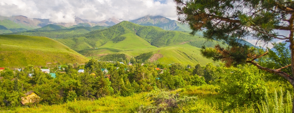 Montagne kirghizistan natura vegetazione