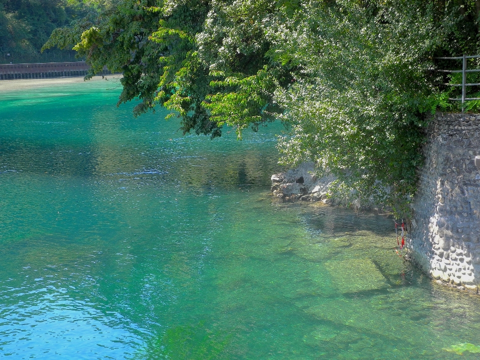 İsviçre cenevre
 rhone nehri
 yeşil