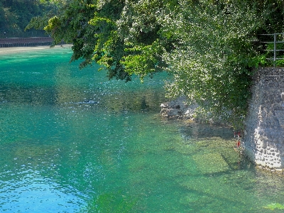 Foto Suíço genebra
 rio ródano
 verde