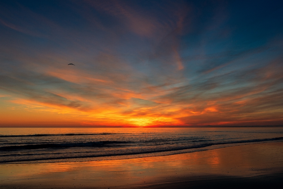 Sonnenuntergang himmel horizont nachglühen
