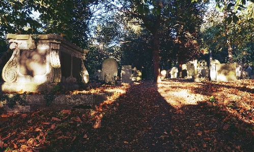 Autumn leaves cemetery graveyard Photo