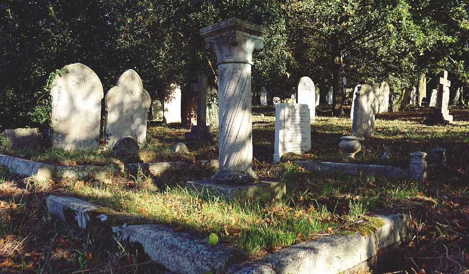 Cementerio tumbas
 naturaleza bosque
