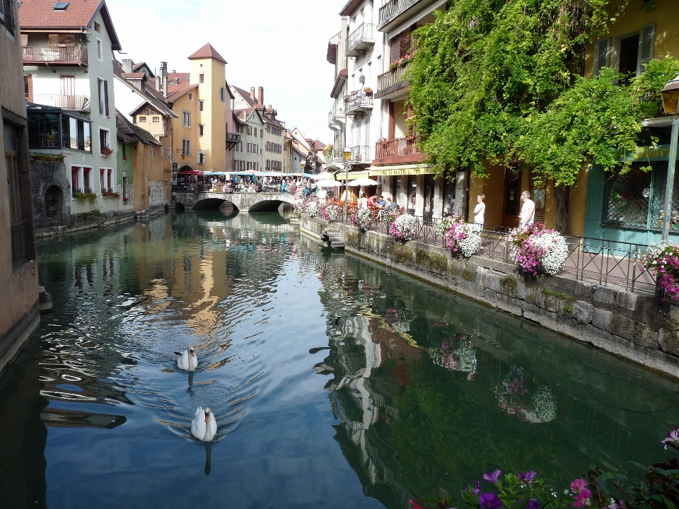 Annecy
 francia corso d'acqua
 acqua