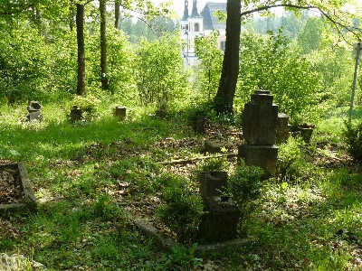 Forest trees gravestones grave Photo