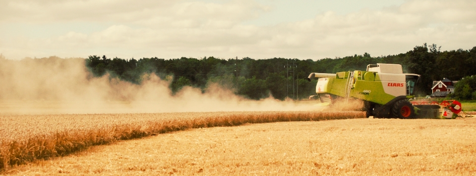 Natura campo agricoltura azienda agricola