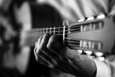 Foto Gitar aksesori instrumen string
 dawai
 hitam