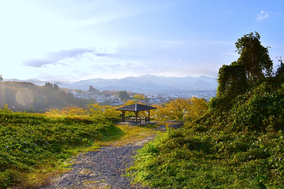 Yamagata
 japonia natura uniwersytet