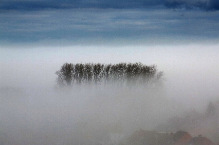 Fog sky mist cloud Photo