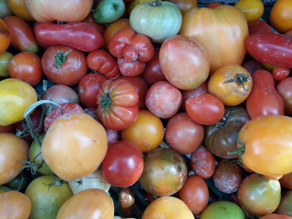 Pomodoro alimenti naturali
 verdura produrre