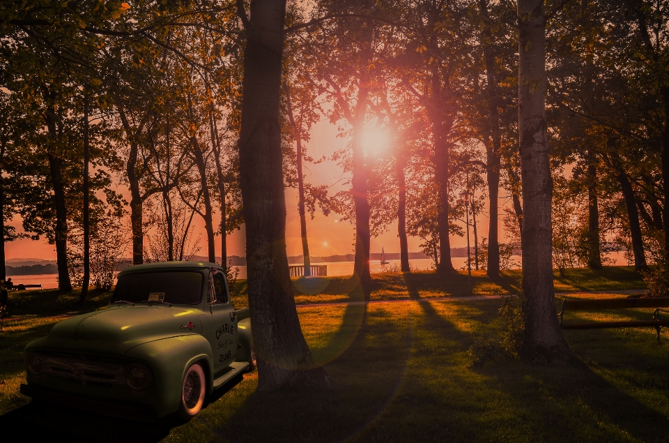 Sonnenuntergang natur baum auto