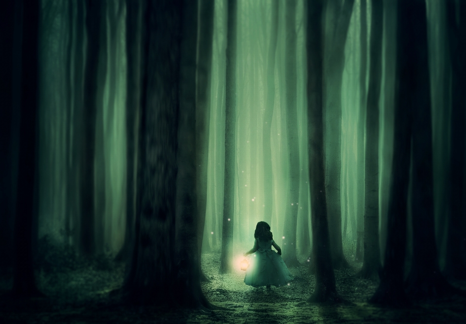 Forest girl trees fog