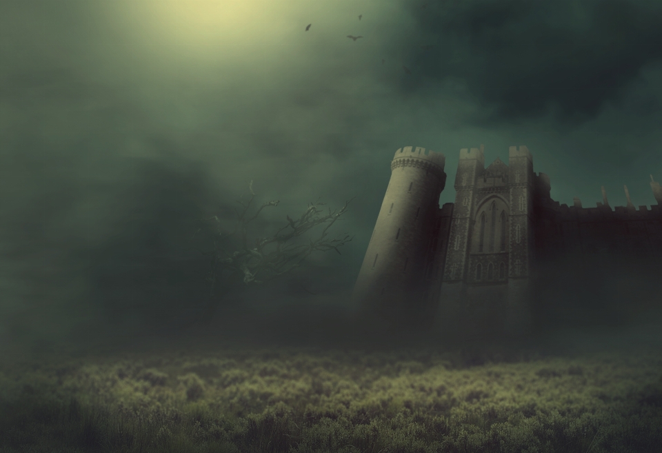 Fantasy castle fog meadow