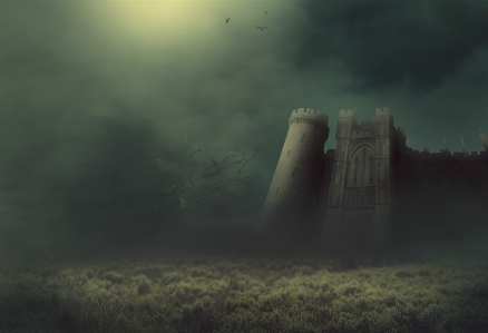 Fantasy castle fog meadow Photo