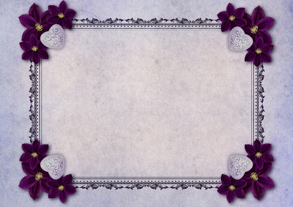 Flowers heart frame paper