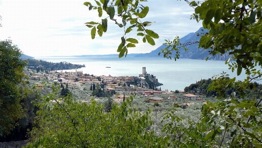 Kaplumbağalar
 garda gölü
 İtalya gökyüzü Fotoğraf