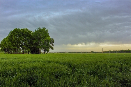 Foto Awan musim semi padang rumput
 langit