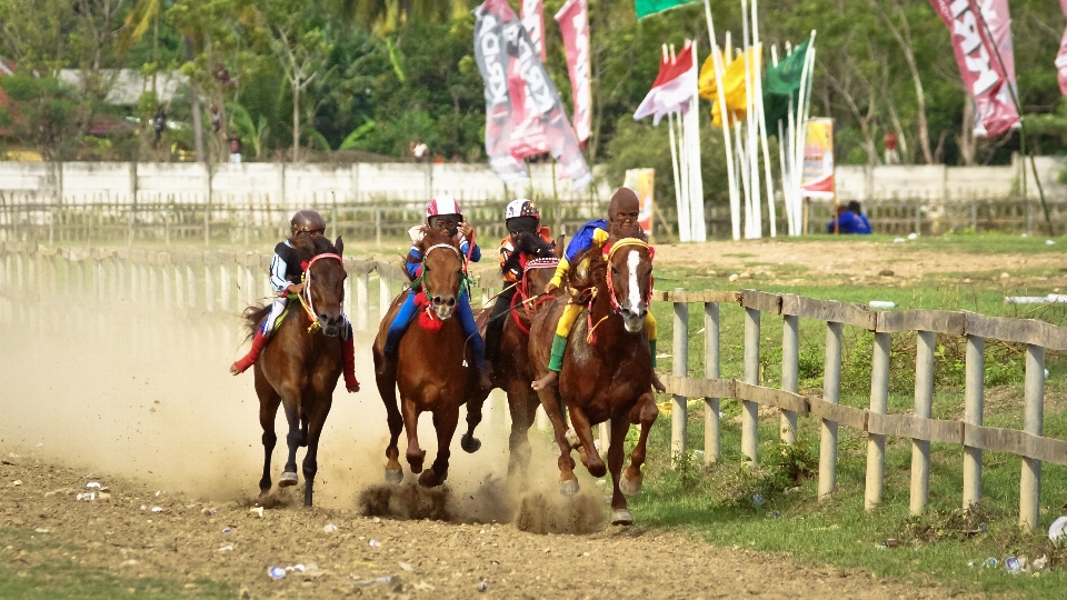 Cheval course enfant indonésie