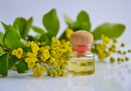 Essential oil aromatherapy cosmetic spa Photo