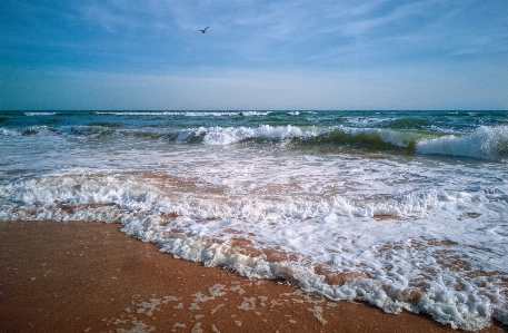 Sea waves shore wave Photo